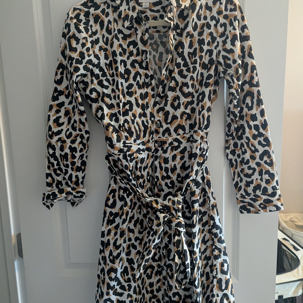 J. Crew Leopard Print Long Sleeve Dress